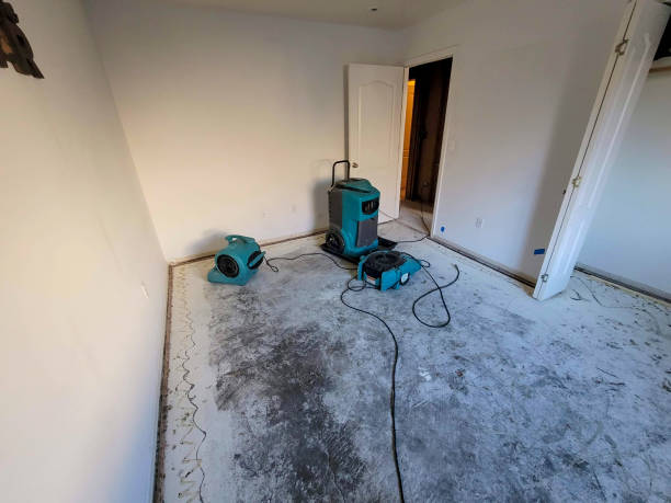 Best Local water damage restoration  in Wallace, ID