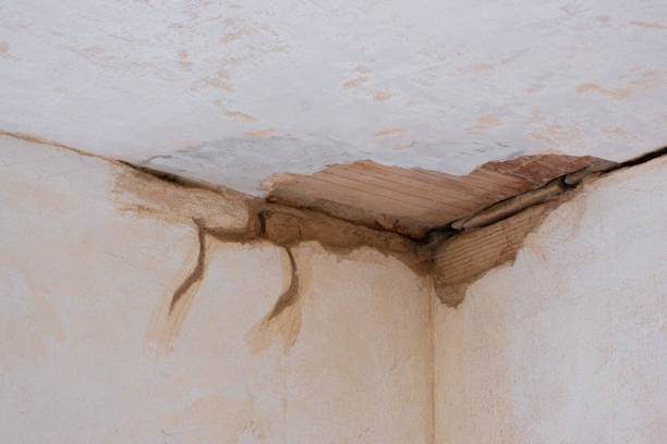  Wallace, ID Water damage restoration Pros