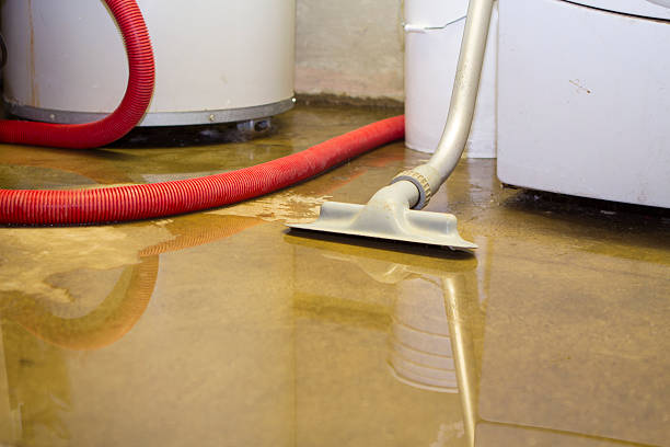 Reliable ID Water damage restoration Solutions