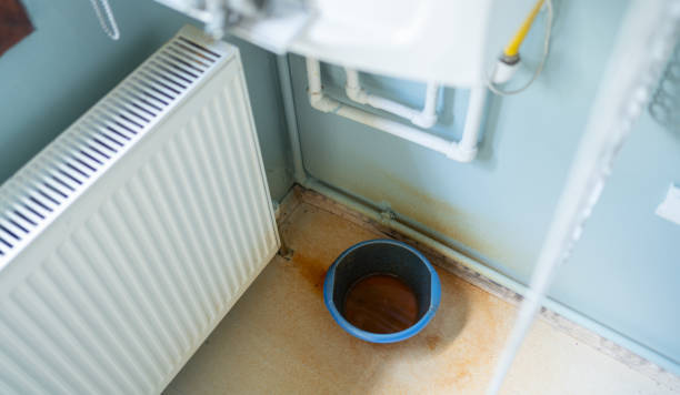 Best Carpet water damage restoration  in Wallace, ID