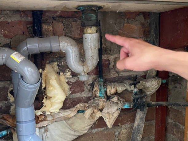 Best Mold removal after water damage  in Wallace, ID
